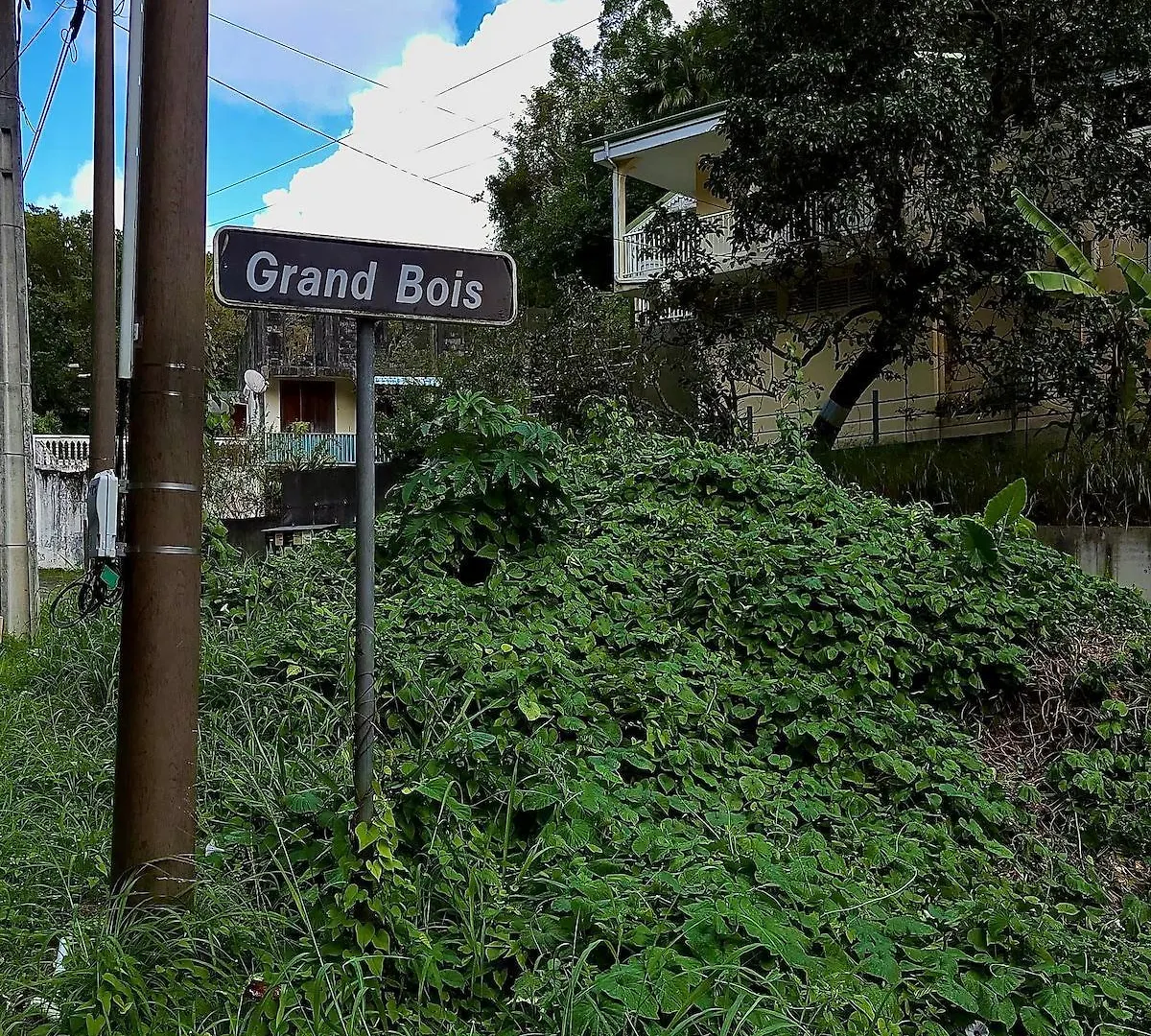 別荘 Maison Grand Bois ル・ゴジエ