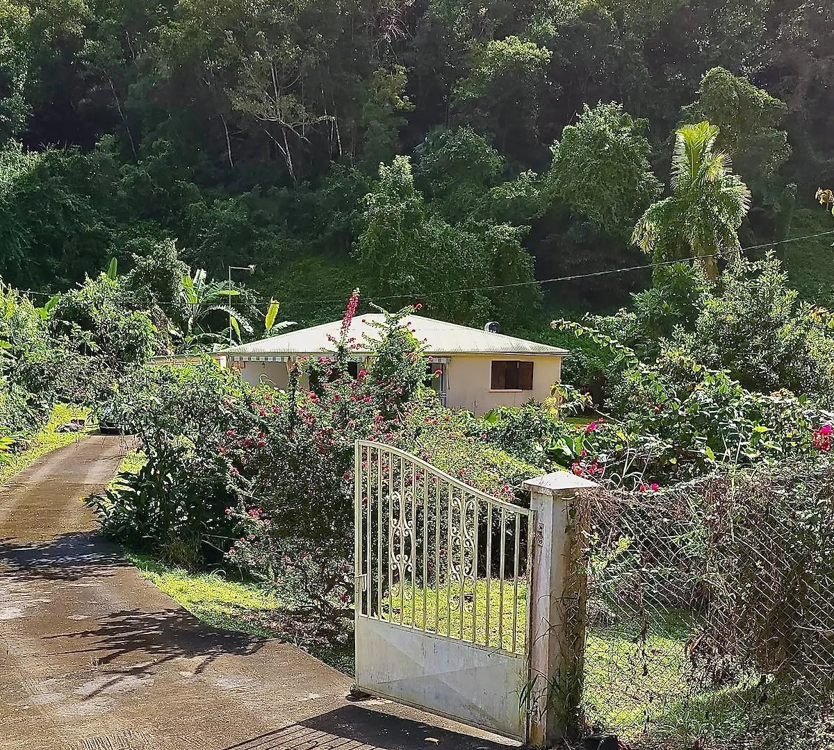 Maison Grand Bois Le Gosier  Guadeloupe
